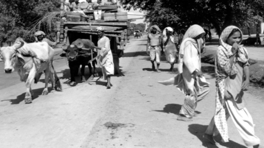 Kashmiri-Genocide-1947.jpg