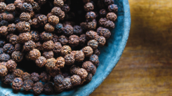 Rudraksha-seeds-are-considered-sacred-in-Hinduism-and-Buddhism,