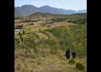 [ Hindustan Times ] Sikhs, Hindus fleeing Khyber Pakhtunkhwa amid rising terror