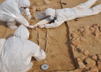 [ The Hindu ] Archaeologists, Sanskrit scholars tie up to decipher Rigveda text