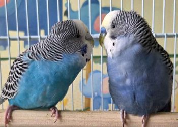 Life, Without the Hashtag